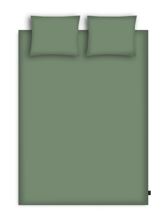oliwka.png